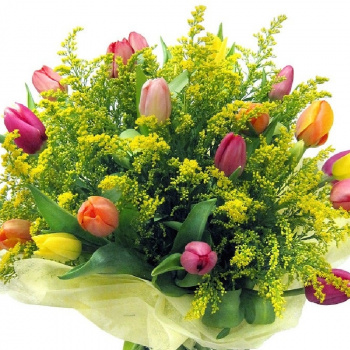 Букет из 19 тюльпанов и мимозы